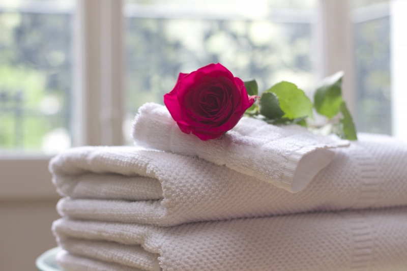 chambre-hote-TOURVES-min_towel_rose_clean_care_salon_spa_white_bath-731641